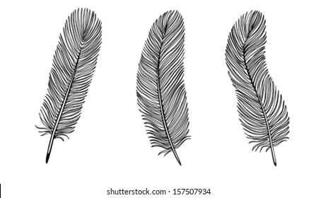 Set of Black and White Feather. Many similarities to the author's profile