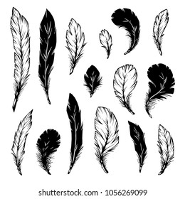 Set of black and white feathers.