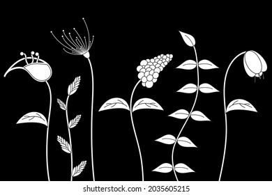 BlumenSet aus schwarz-weiß