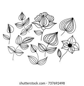 Set of black and white  flowers and leaves. Hand drawn vector design elements.