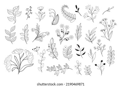 Set of black and white flowers in line style. Doodle vector floral illustrations collection.