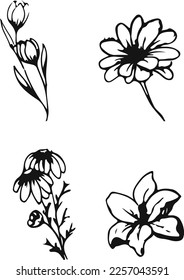 conjunto de arte de líneas de flores blancas y negras