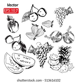 Set of black and white fruits peach, watermelon, pineapple, apples, grape, cherry, strawberry,  isolated on white background vector illustration