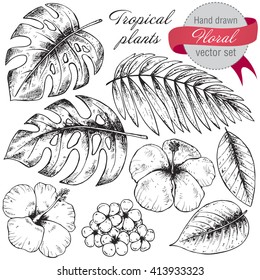 Set of black and white hand drawn graphic tropical plants and flowers in sketch style. Summer hawaiian vector illustration