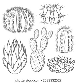 Set of black and white illustrations with cactus and succulent. Isolated vector objects on a white background.