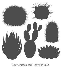 Set of black and white illustrations with cactus and succulent. Isolated vector objects on a white background.