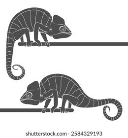 Set of black and white illustrations with chameleon. Isolated vector object on white background.