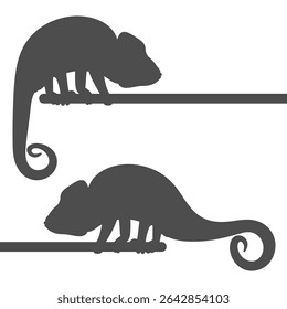 Conjunto de ilustrações em preto e branco com camaleão. Objeto de vetor isolado no plano de fundo branco.