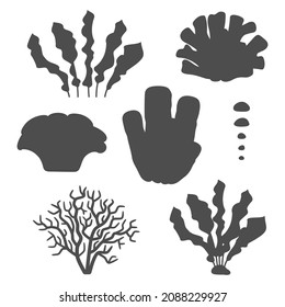 Set of black and white illustrations with corals and algae. Isolated vector objects on a white background.