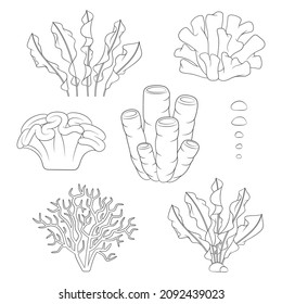 Set of black and white illustrations with corals and algae. Isolated vector objects on a white background.