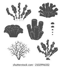 Set of black and white illustrations with corals and algae. Isolated vector objects on a white background.