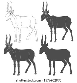 Set of black and white illustrations depicting a saiga antelope. Isolated vector objects on a white background.