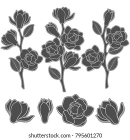 Set of black and white illustrations with flowering magnolia branches. Isolated vector objects on white background.