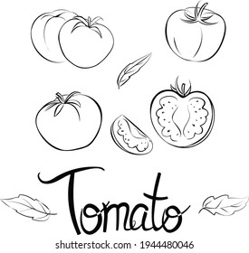 Set of black and white illustrations of garden tomato hand-drawn sketch set of garden tomatoes vector for web design.