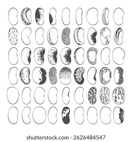 Set of black and white illustrations with green beans, kidney beans. Isolated vector objects on white background.