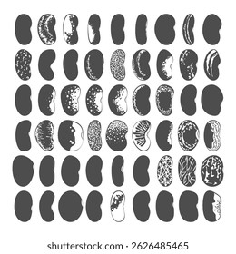 Set of black and white illustrations with green beans, kidney beans. Isolated vector objects on white background.