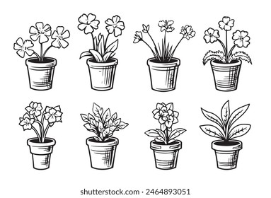 Set black and white illustrations of house plants. House flowers