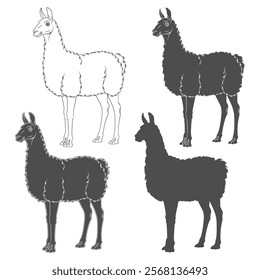 Set of black and white illustrations with llama, alpaca. Isolated vector objects on a white background.