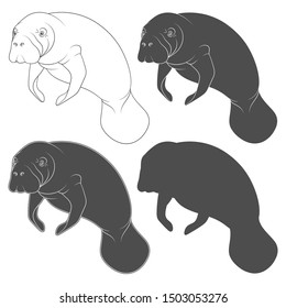 Set of black and white illustrations with manatee, a sea cow. Isolated vector objects on a white background.