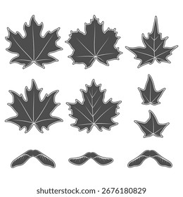 Conjunto de ilustraciones en blanco y negro con hojas de arce y semillas. Objetos vectoriales aislados sobre un fondo blanco.