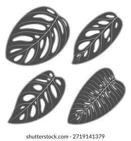 Conjunto de ilustraciones en blanco y negro con hojas de plantas enredaderas monstruosas. Objetos aislados del vector en el fondo blanco.