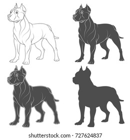 Set of black and white illustrations with a pit bull dog. Isolated vector objects on white background.