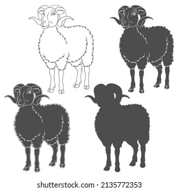 Set of black and white illustrations with ram, sheep. Isolated vector objects on a white background.