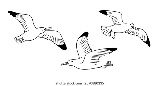 Set of black and white illustrations of seagulls in flight, showcasing different wing positions, simple outlines, and a minimalistic style on a white background