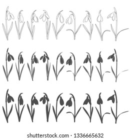 Set of black and white illustrations with snowdrops. Isolated vector objects on white background.