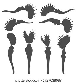 Set of black and white illustrations of venus flytrap. Isolated vector objects.