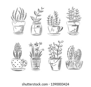 set of black and white image of indoor plants