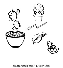 Set of black and white images of cacti in a pot. Arrow logo.