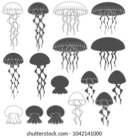 Set of black and white images with jellyfish. Isolated objects on white background.