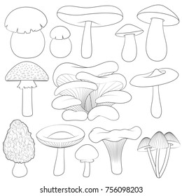 Set of black and white images with mushrooms. Isolated vector objects on white background.