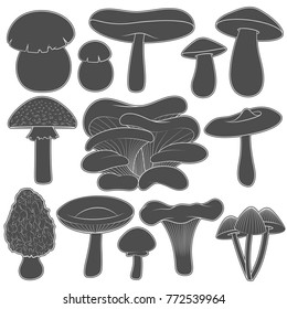 Set of black and white images with mushrooms. Isolated vector objects on white background.