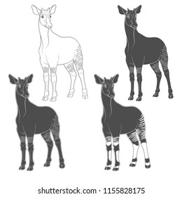 Set of black and white images with okapi. Isolated vector objects on white background.