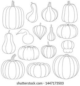 Set of black and white images with pumpkins of different types and shapes. Isolated vector objects on white background.