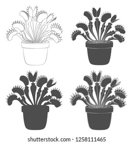 Set of black and white images of venus flytrap. Isolated vector objects on white background.