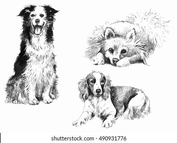 139,299 Hand drawn dogs Images, Stock Photos & Vectors | Shutterstock