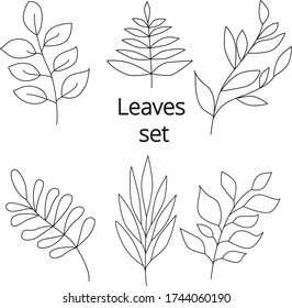 set of black white leaves