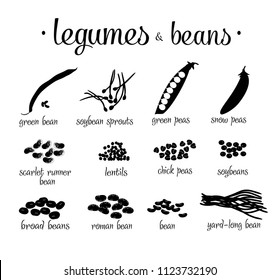 Set of black and white legumes and beans vector illustration isolated on white background. Black silhoeuette different legumes.