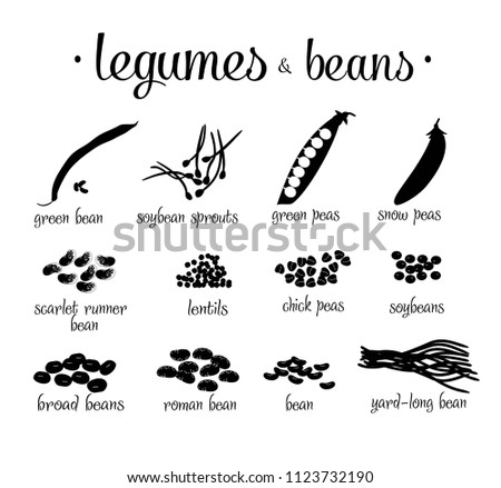 Set of black and white legumes and beans vector illustration isolated on white background. Black silhoeuette different legumes.
