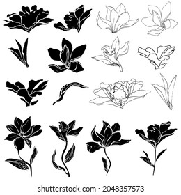Set of black and white lily, magnolia and vanilla flowers, collection of black outlines and silhouettes cut out on a white background. Torafari, funeral set.