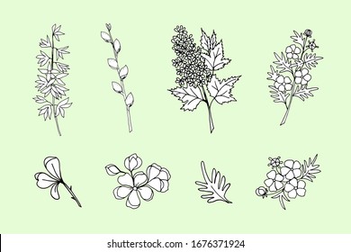 Conjunto de ilustraciones de arte en blanco y negro con floración. Borde negro Objetos aislados en un fondo verde. Conjunto de vectores con contorno floral para el diseño de temporada.