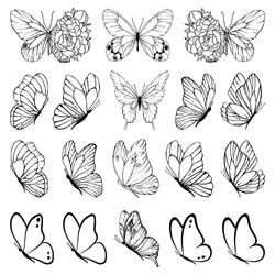 black and white butterfly outline clip art