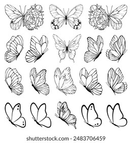 Set of black and white line butterflies. Collection of butterflies. Vector illustration. Butterflies clipart. Baby shower design elements. Party invitation, birthday celebration. Spring, summer decor