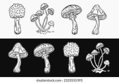 Set of black and white mushroom illustrations. Good for fairytale, groovy, hippie, mystical style