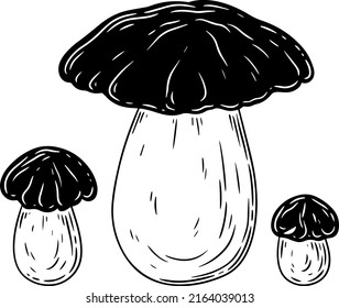 A set of black and white mushrooms.