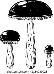 A set of black and white mushrooms.