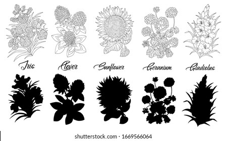 Set of black and white outline flowers - clover, sunflower, others. Vector botanical illustration and silhouette, line art graphic drawing. See my full collection of plants.